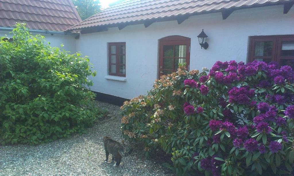 Vranum Guesthouse Viborg Exterior photo